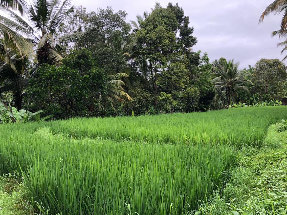 Titian Dewi Villa Ubud - 3 Bedroom Private Villa Close To Cretya Day Club Tegallalang  Dış mekan fotoğraf
